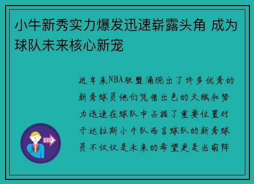 小牛新秀实力爆发迅速崭露头角 成为球队未来核心新宠
