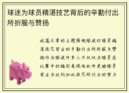 球迷为球员精湛技艺背后的辛勤付出所折服与赞扬