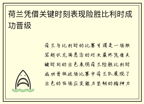 荷兰凭借关键时刻表现险胜比利时成功晋级