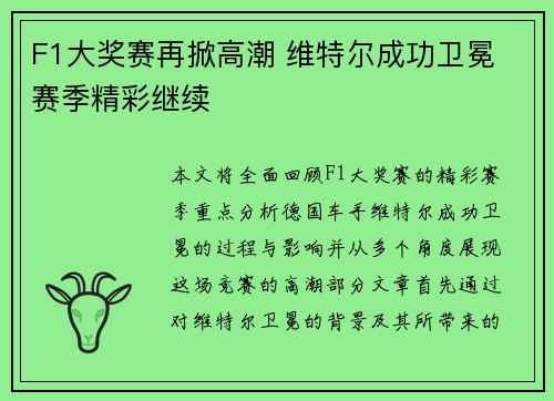 F1大奖赛再掀高潮 维特尔成功卫冕 赛季精彩继续
