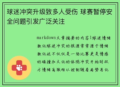 球迷冲突升级致多人受伤 球赛暂停安全问题引发广泛关注